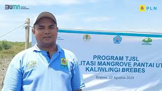 LIMA Tahun  Transformasi BUMN PLN Konsisten Lestarikan Lingkungan Melalui TJSL Mangrove Brebes [upl. by Sivlek]