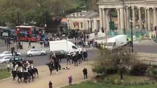 Royal Guard horse fail at Wellington Arch London UK [upl. by Olzsal428]