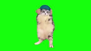 Cat Dances To Girlfriend Green Screen  Green Screen Dans Eden Kedi Yeşil Ekran [upl. by Euqinemod300]