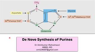 Purine Biosynthesis De Novo  Biochemistry  Molecular Biology [upl. by Hecht801]