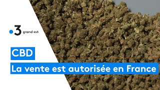 La vente de CBD finalement autorisée en France [upl. by Reaht774]