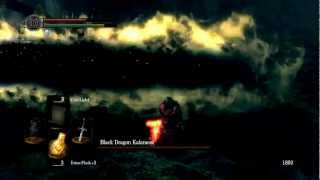 Black Dragon Kalameet  Dark Souls [upl. by Eimrej737]