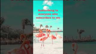 Subscribing to everyone who subs to me [upl. by Marshall885]