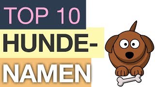 Top 10 Hundenamen [upl. by Ignacia243]