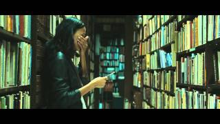 Colombiana 2011 Full Movie In English HD [upl. by Salguod633]