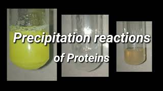 Precipitation Reactions of Proteins  Biochemistry [upl. by Scoter]