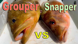 Snapper vs Grouper Catch Clean Cook Cooking on remote Island beach [upl. by Adnilemreh]