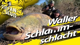 WELSANGELN mit Stefan Seuß am FLUSS  WALLERSchlammschlacht und FreestyleMontage in den Hecken [upl. by Unity]