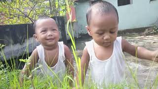 Baby playing with Grass nature babyvideos babylaughing grass nature twins babylullaby [upl. by Magnuson]