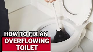 How To Fix An Overflowing Toilet  Ace Hardware [upl. by Mckenzie]