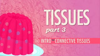 Tissues Part 3  Connective Tissues Crash Course Anatomy amp Physiology 4 [upl. by Bonaparte139]