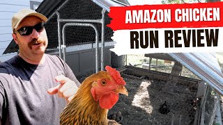 Amazon Chicken Run Review  18 Months After [upl. by Houlberg204]