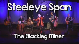 Steeleye Span  Blackleg Miner Live [upl. by Naquin]