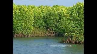 Kumarakom Responsible Tourism initiatives [upl. by Dorelia]