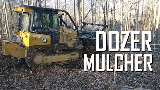 D1 Dozer forestry mulcher shows up and makes us a view  E136 [upl. by Welles]