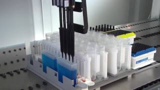 Liquid LiHa pipetting from tube to tube [upl. by Juli]