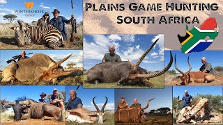 Plains Game hunt with Wintershoek Safaris  Waterbuck Eland Kudu Impala Zebra Springbuck Wildebeest [upl. by Samford98]