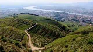 Discover The Wines of the Rhone Valley Part 1 of 3 [upl. by Aleina]