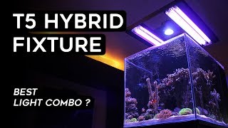 Aquatic Life T5 Hybrid Fixture Review Best combo with LED light [upl. by Xad]