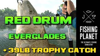 Fishing Planet Everglades Red Drum Includes Trophy Red Drum Catch 39lb [upl. by Yerffe240]