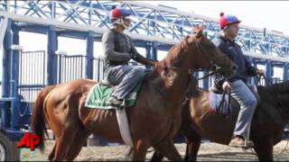 Derby Winner Picked As Favorite for Belmont [upl. by Uke]