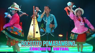 ROCOTITO POMABAMBINO 2020 CONCIERTO VIRTUAL CON LOS COMPADRES DEL CHIMAYCHI [upl. by Ylesara852]