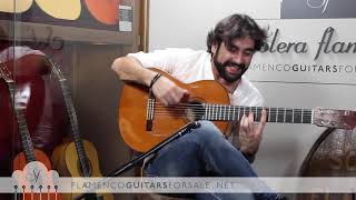 DANIEL CASARES plays bulerias in Solera Flamenca quotCapote de Sedaquot [upl. by Orman]