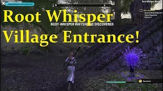 Root Whisper Village ENTRANCE Location ESO Murkmire Elder Scrolls Online [upl. by Ttezzil]