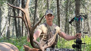 Bowhunting Elk Opening Day Success in Alberta [upl. by Mutat]