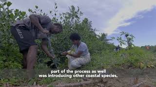 Video 1 Mangrove Rehabilitation [upl. by Ayrb840]