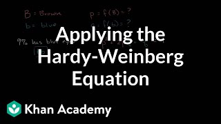 Applying the HardyWeinberg equation  Biomolecules  MCAT  Khan Academy [upl. by Herschel]