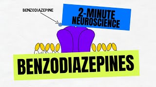 2Minute Neuroscience Benzodiazepines [upl. by Hubble]