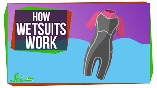 How Do Wetsuits Keep You Warm [upl. by Eecram]