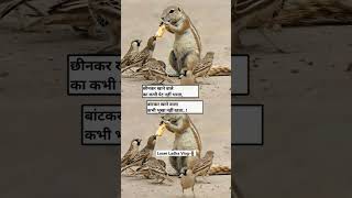 बाट कर खाने वाले कभी भूखे नही रहते 💯🙏🫓 l viral shots food reality [upl. by Des]