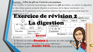 Exercice de révision 2 digestion brevet session 2015 [upl. by Airec]