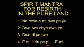 Spirit Mantra for Rebirth in the Pureland [upl. by Sumetra964]