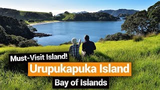 🗺️ A Day on Urupukapuka Island in the Bay of Islands – New Zealands Biggest Gap Year [upl. by Schafer]