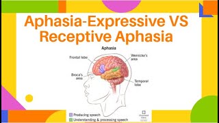 AphasiaExpressive VS Receptive Aphasia  Fluent amp NonFluent Aphasia  PhysiotherapyKnowledge [upl. by Eillek499]