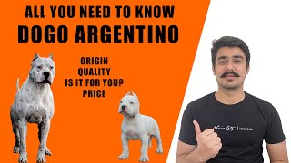 DOGO ARGENTINO DOG INDIA CAN DOGO ARGENTINO BE A FAMILY DOG DOGO ARGENTINO PUPPIES PRICE IN INDIA [upl. by Notneuq14]