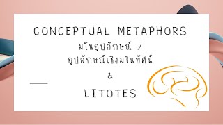 Conceptual Metaphors amp Litotes [upl. by Jaret]