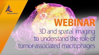 3D and spatial imaging to understand the role of tumorassociated macrophages WEBINAR [upl. by Berkow]