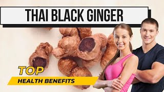 USES amp BENEFITS OF THAI BLACK GINGER Kaempferia parviflora blackginger sexualhealthformen ginger [upl. by Myranda]