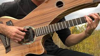 Have You Ever Seen The Rain  CCR  Harp Guitar Cover  Jamie Dupuis [upl. by Lonier295]