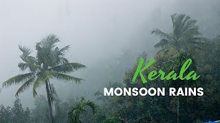 Why Kerala for Monsoon  Best Monsoon video [upl. by Leamiba]