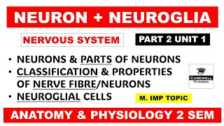 Neurons  Neuroglial cells  Types  Classification amp Properties of nerve fibre  Part 2 U 1  hap 2 [upl. by Colburn910]