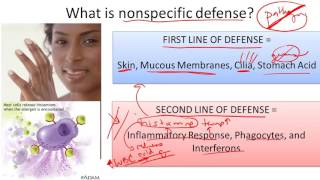 Nonspecific Defence Systems  GCSE Biology [upl. by Carla]