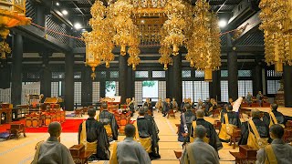 3Day Temple Stay at a 550YearOld Japanese Buddhist Temple  Kakurinbo Kuonji Temple  ASMR [upl. by Nyleuqcaj]