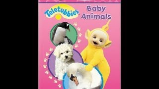 Teletubbies Baby Animals [upl. by Ydurt]