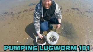 How to pump lugworm 101 [upl. by Kciregor]