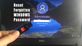 Reset forgotten Windows 111087 Password with Hiren USB  NETVN [upl. by Trebleht500]